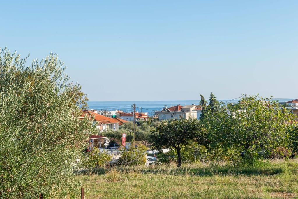 Όμορφο Παραθασυγκρότημα Ενοικιαζόμενων Καταλυμάτων Ως Ολόκληρος Χώρος - Chrani, Ελλάδαλάσσιο Διαμέρισμα ภายนอก รูปภาพ